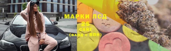 apvp Ельня