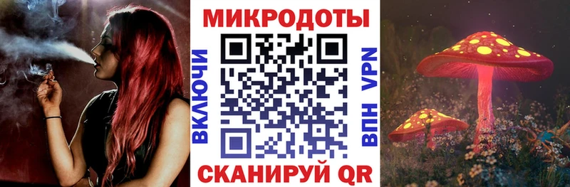 Галлюциногенные грибы Psilocybe  Славянск-на-Кубани 