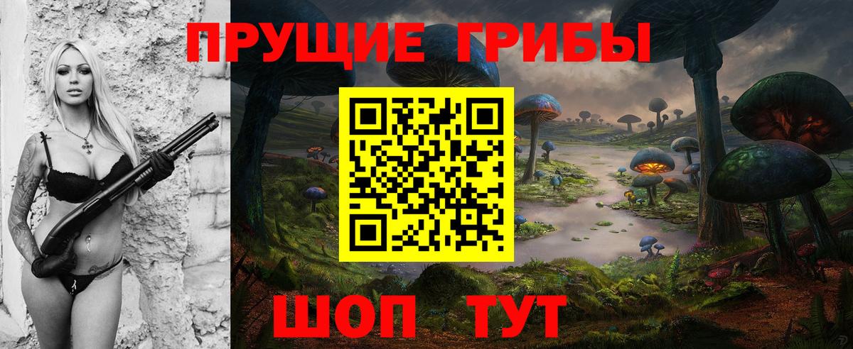 Галлюциногенные грибы GOLDEN TEACHER Славянск-на-Кубани