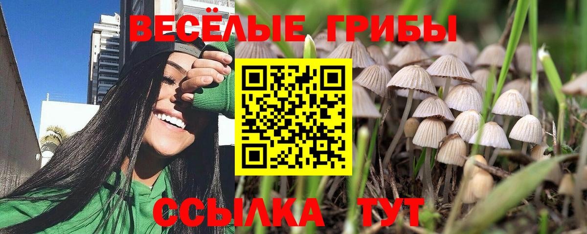 Славянск-на-Кубани  Псилоцибиновые грибы мухоморы  Вход с VPN 