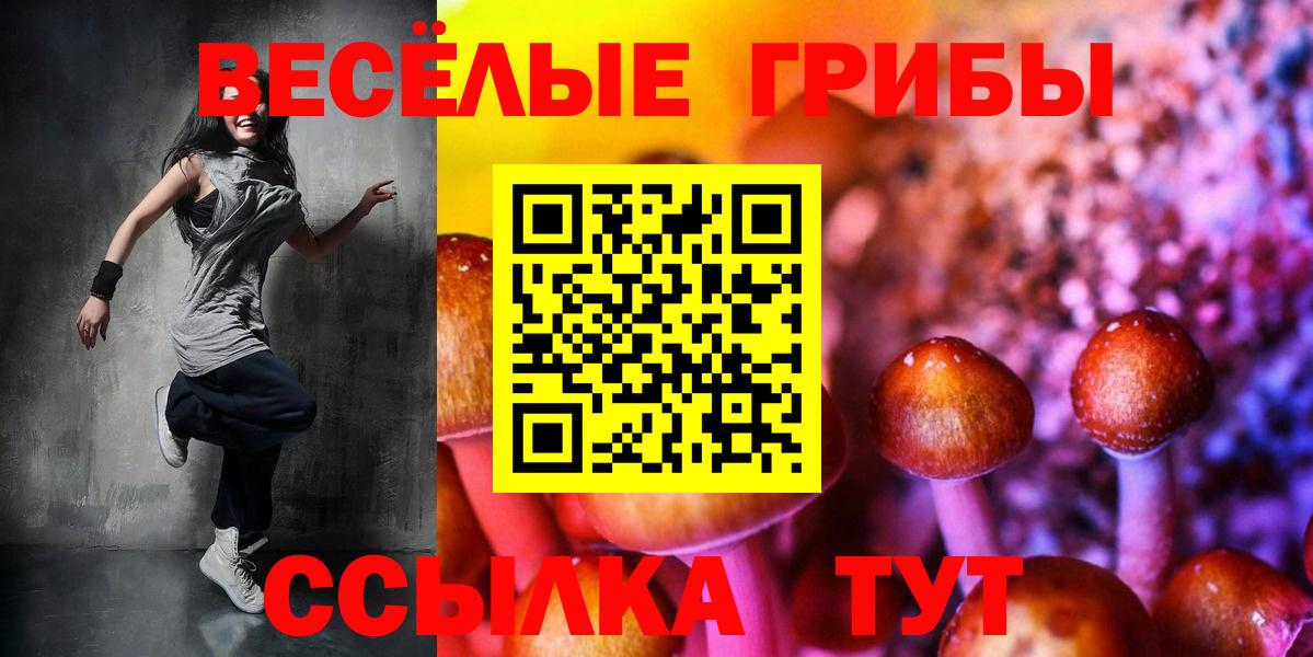 Псилоцибиновые грибы Psilocybine cubensis Славянск-на-Кубани